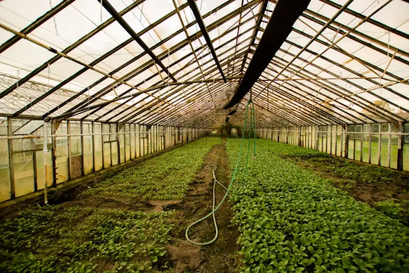 湖南德茂岩棉板与玻璃棉在公共建筑外墙系统中的应用对比